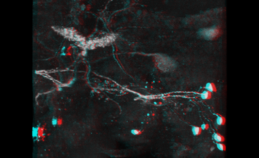 Example anaglyph image