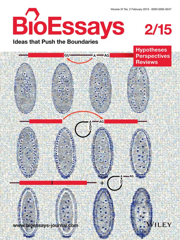 Backcover of Bioessays featuring famous drawing of early Drosophila embryogenesis by Victoria Foe