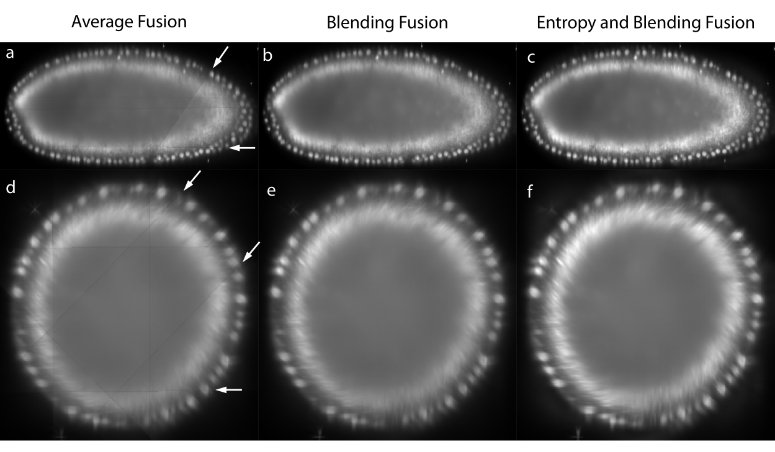 <b>Figure 3:</b> Image fusion
