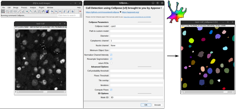 /media/cellpose-appose/overview.png