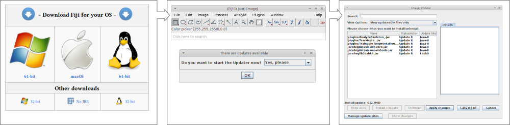 `user-updater.png`
