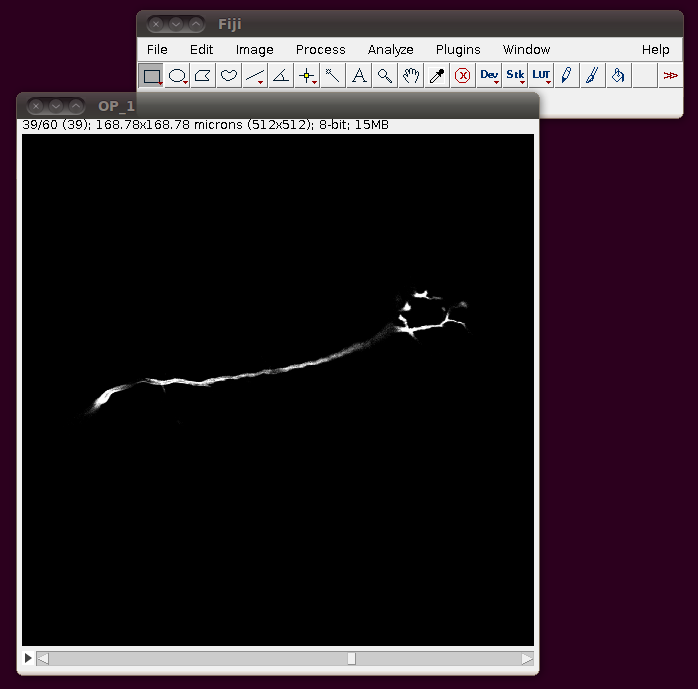 diadem-challenge-data-2