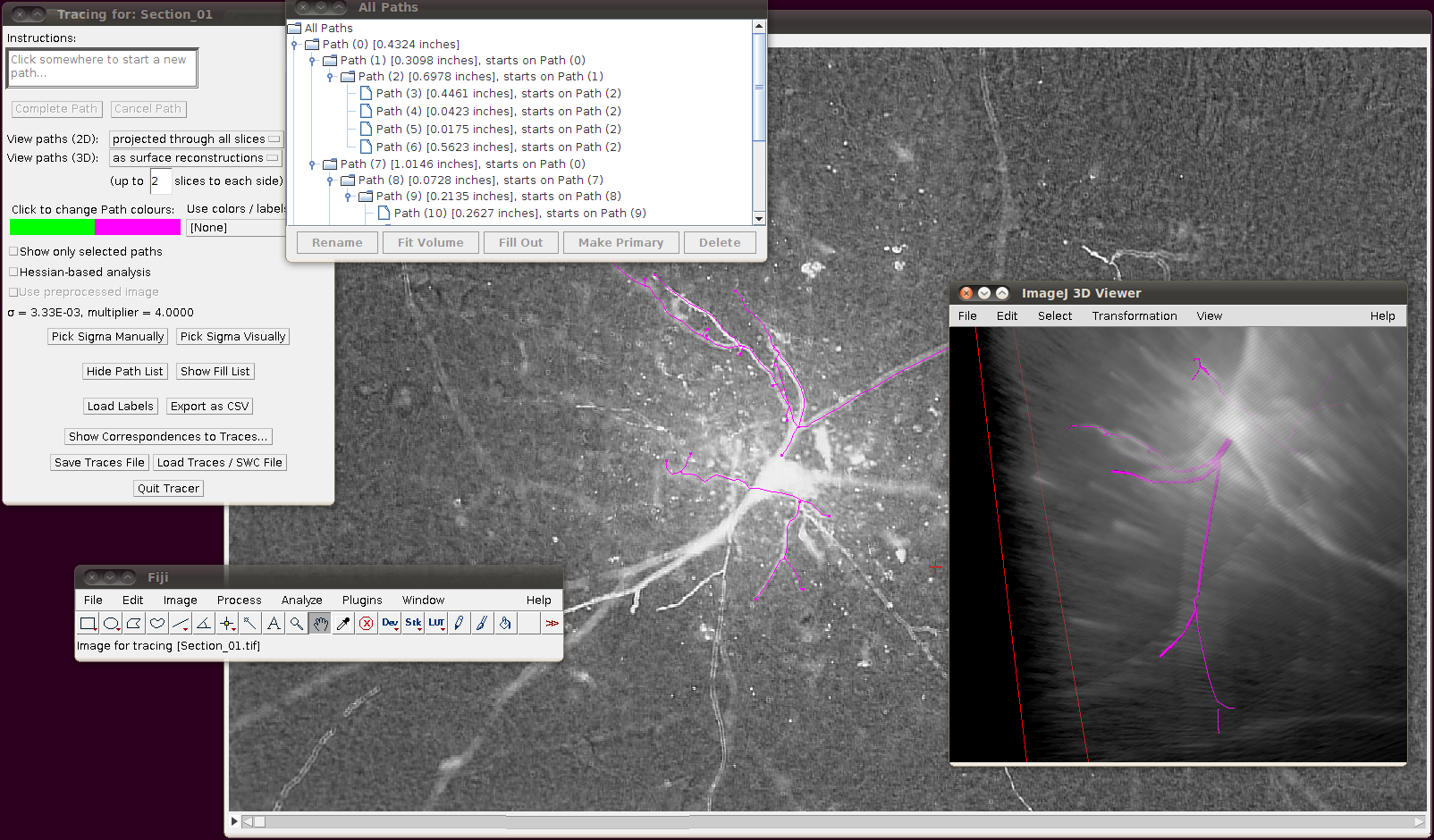 diadem-hippocampal-ca3-interneuron-9