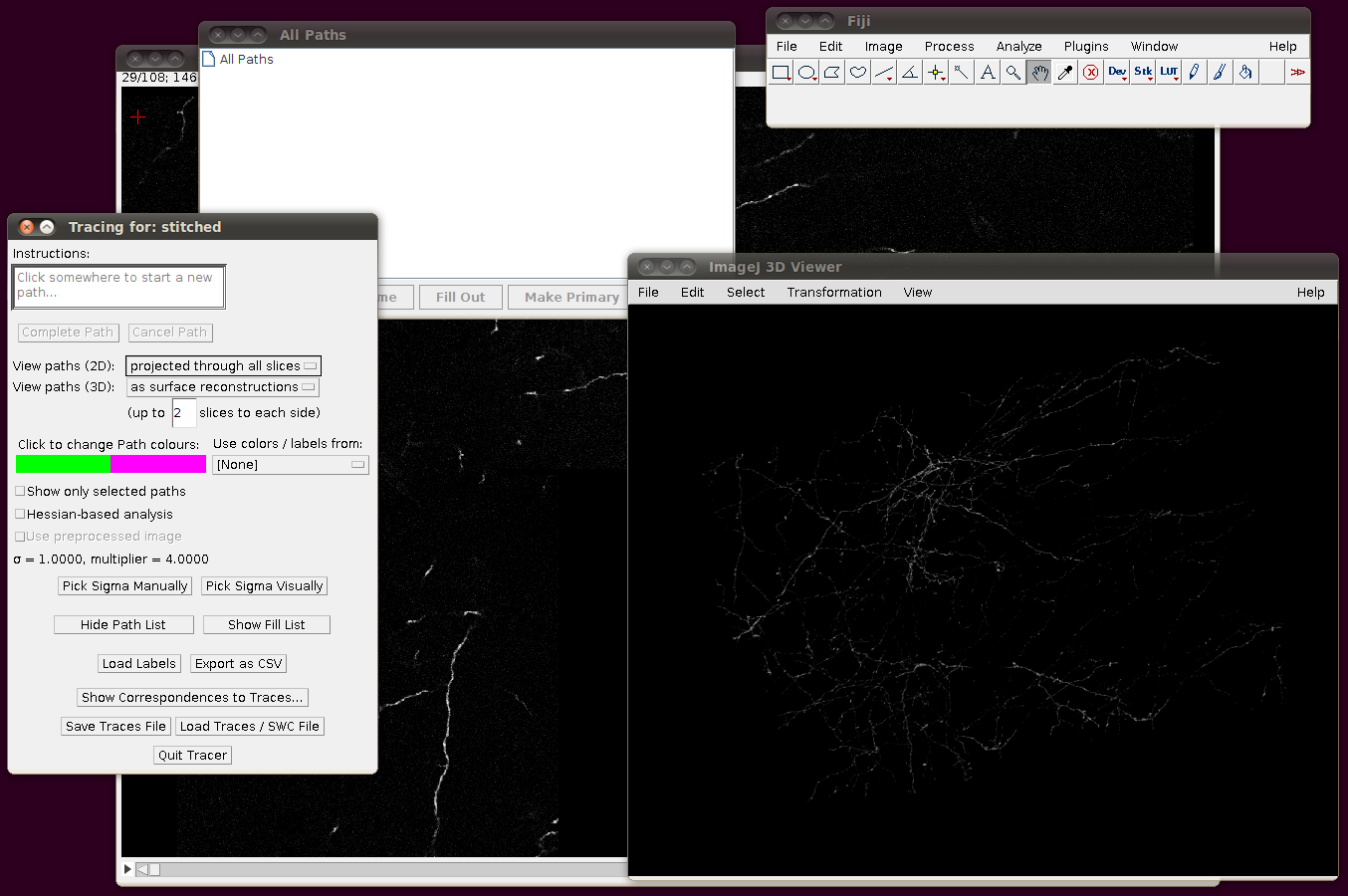 diadem-neocortical-layer-6-axons-4
