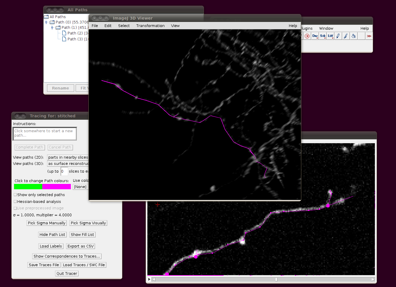 diadem-neocortical-layer-6-axons-6