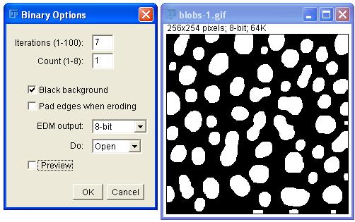 Morphoptions
