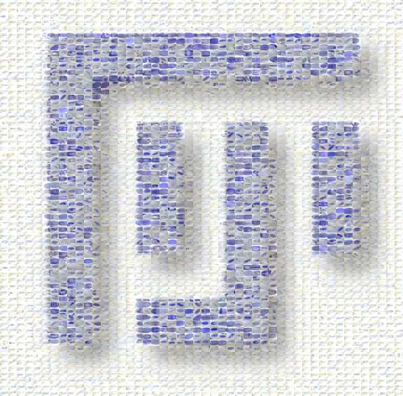 Fiji logo
