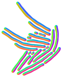 TrackMate-Omnipose-高级