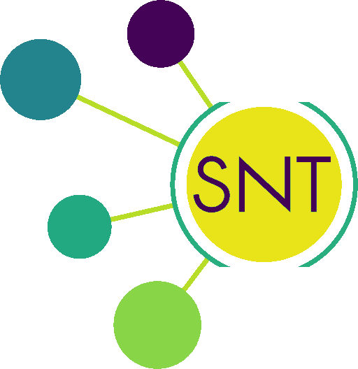 SNT › 肖尔分析