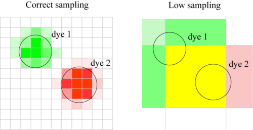 Colocalization spatial sampling diagram