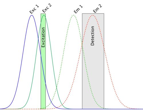 Fluorophore crosstalk and bleedthrough spectra
