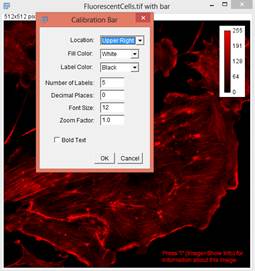 Analyze calibration bar