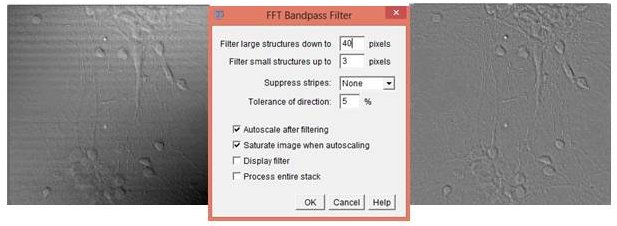 Newfftbandfilter