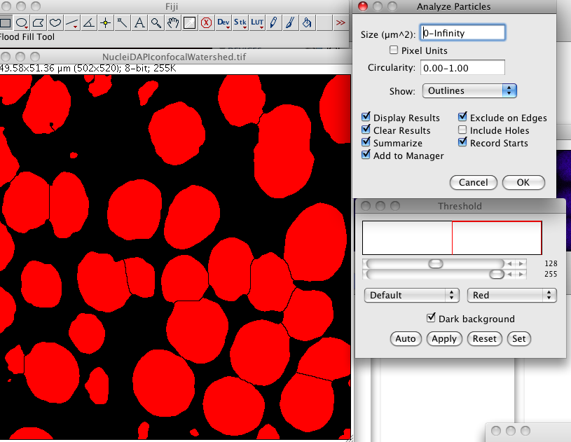nulceidapiconfocalanalyzeparticles