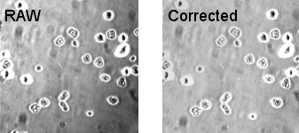 pseudocorrrawcorrected