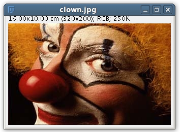 Clown snapshot