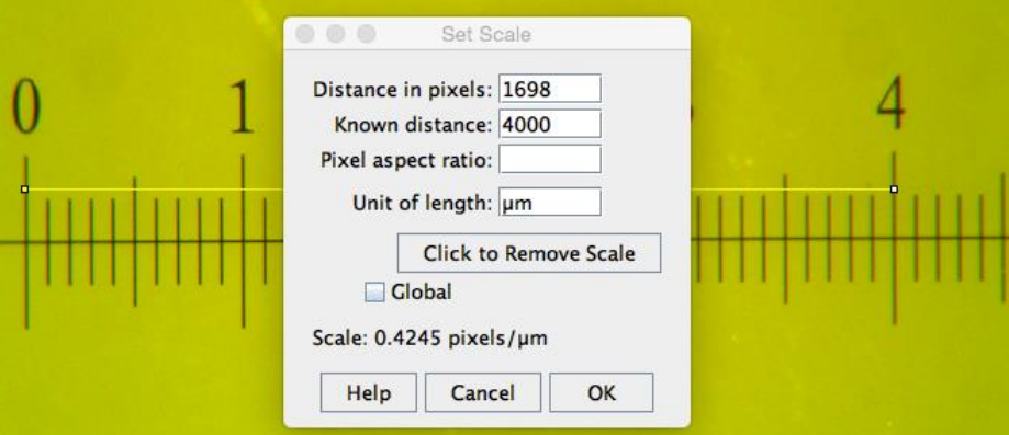 How to measure the pixel size. Taken from the [documentation](https://github.com/jschier/IsletJ/blob/-/pdf/IsletJ_Guide_2.pdf)。
