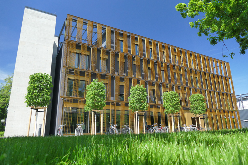 Csbdbuilding