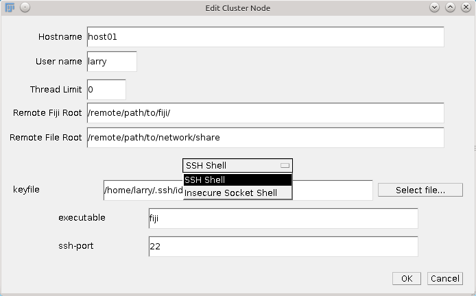 Fiji Archipelago add new cluster node dialog