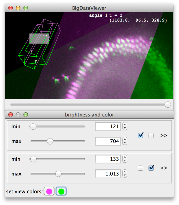 BigDataViewer brightness settings with colored sources