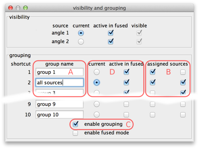 BigDataViewer source grouping dialog