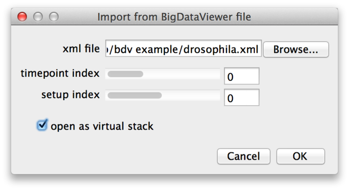 BigDataViewer import as ImageJ stack dialog