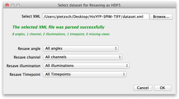 BigDataViewer resave multiview dataset as HDF5 dialog