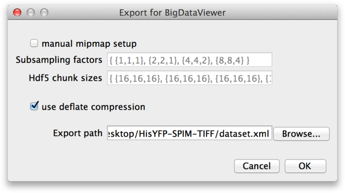 BigDataViewer HDF5 export path and options dialog