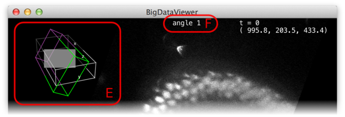 BigDataViewer source visibility overlay in main window
