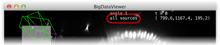 BigDataViewer grouping mode overlay in main window