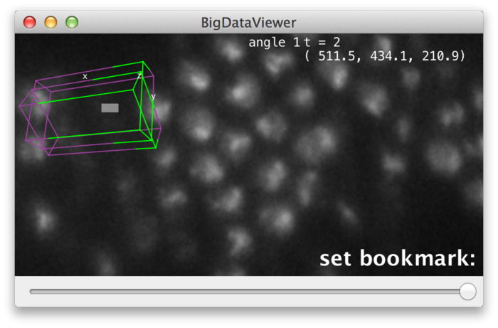 BigDataViewer bookmark prompt in main window