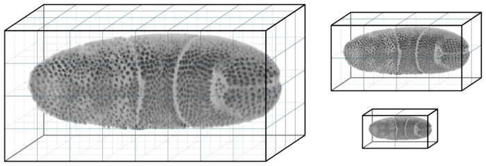 BigDataViewer multi-resolution pyramid storage scheme
