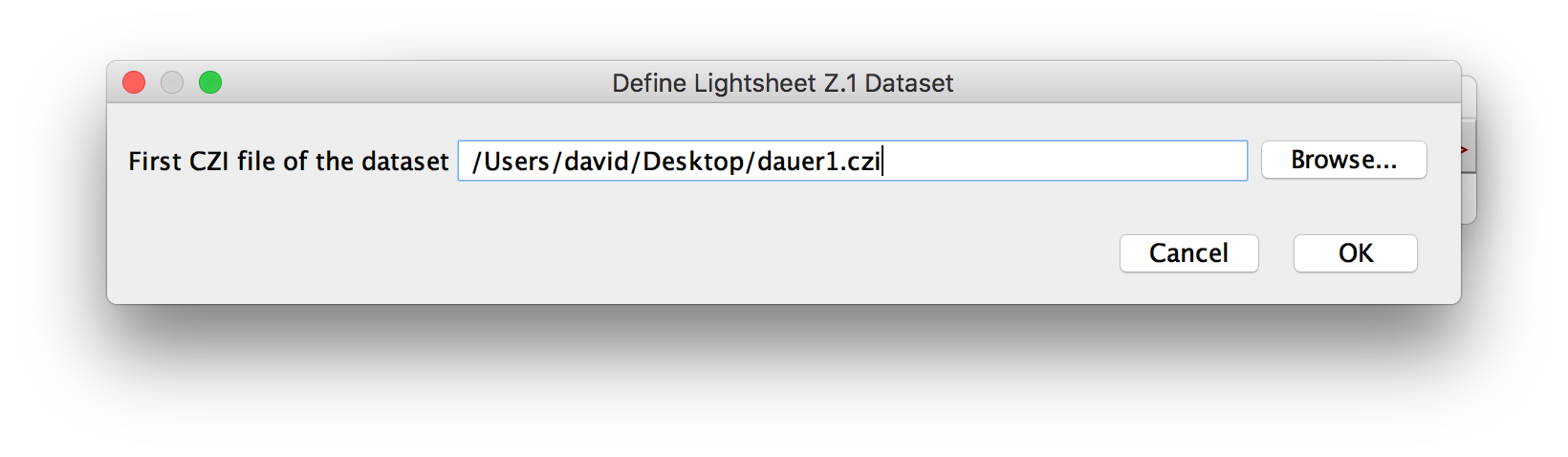 Step 1: select the .czi file to load.