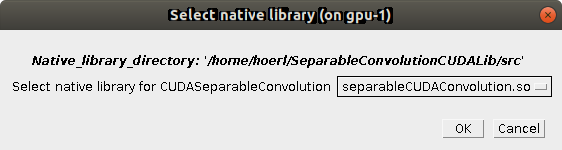 BigStitcher GPU separable convolution library selection