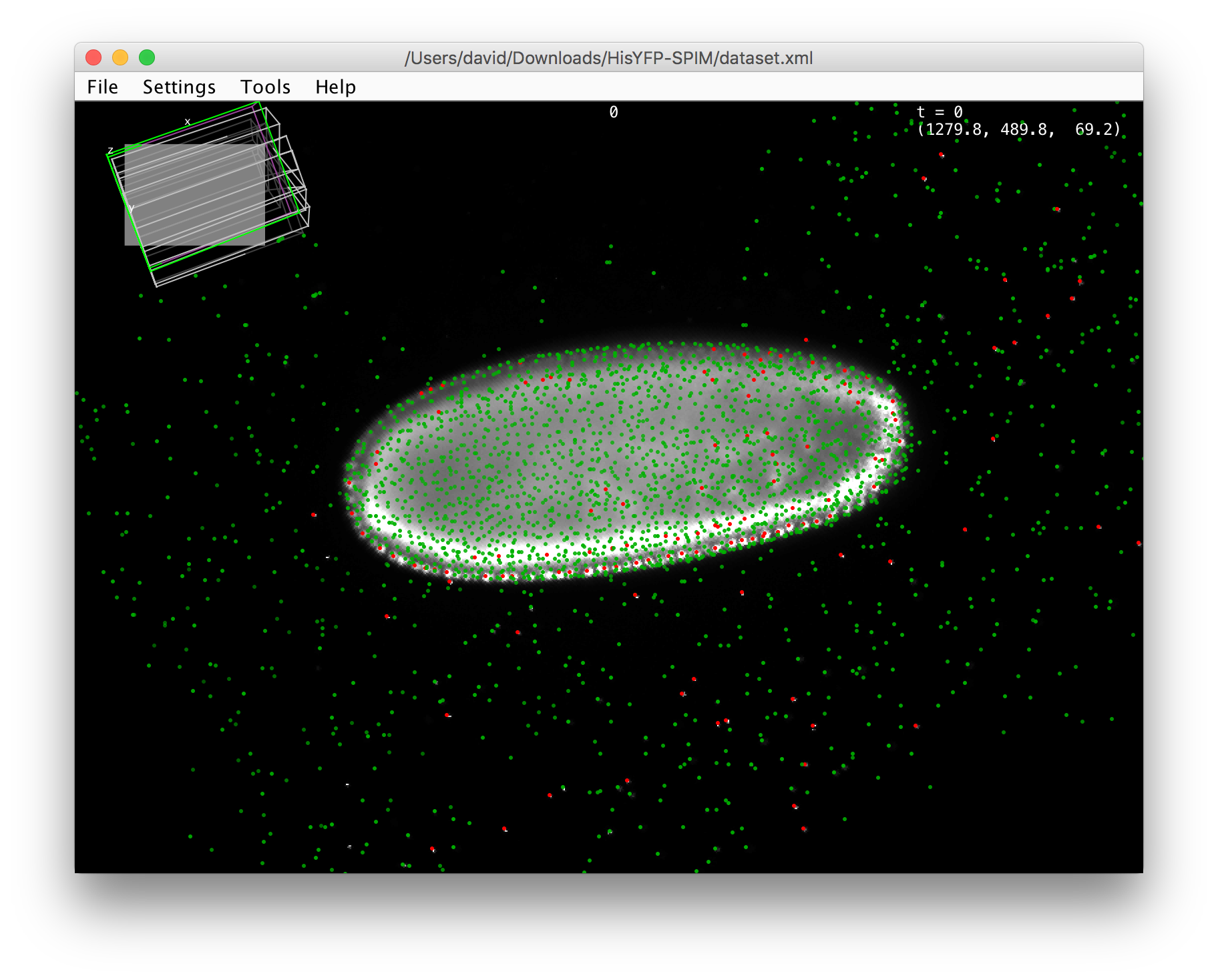 all interest points as an overlay in BigDataViewer