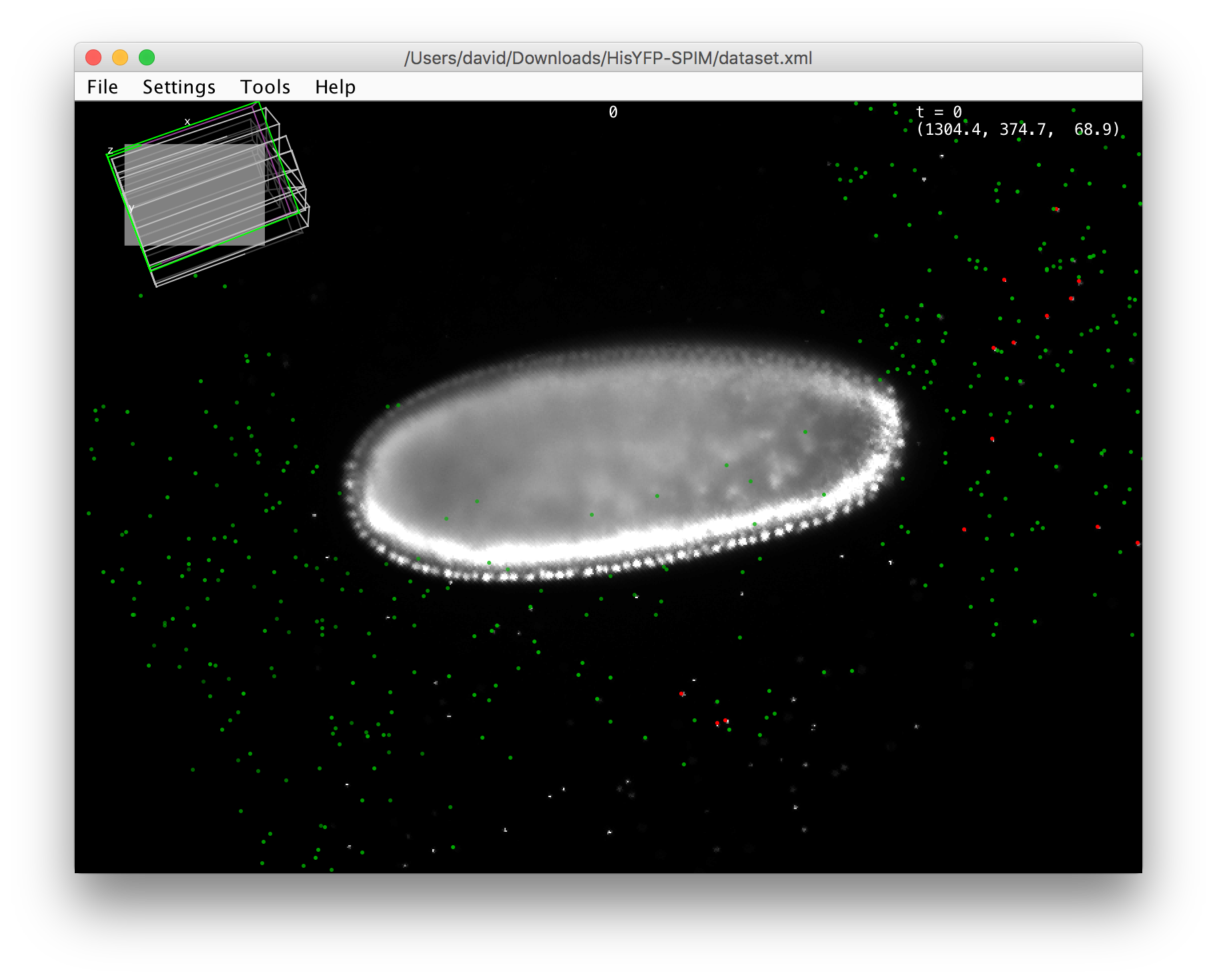 **corresponding** interest points as an overlay in BigDataViewer