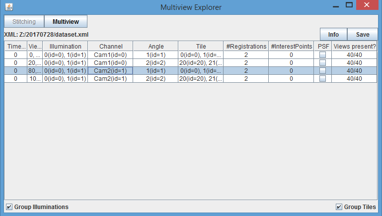 BigStitcher Overview 4