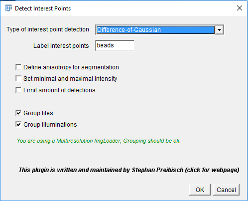 BigStitcher interest point detection initial dialog