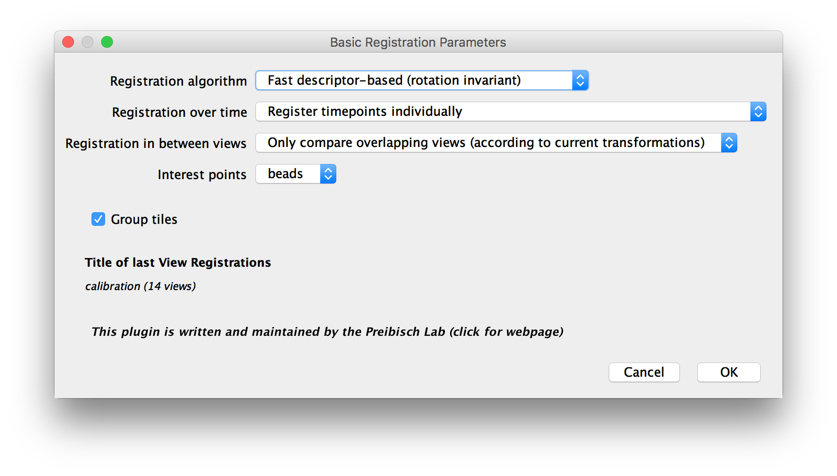 BigStitcher Register basic