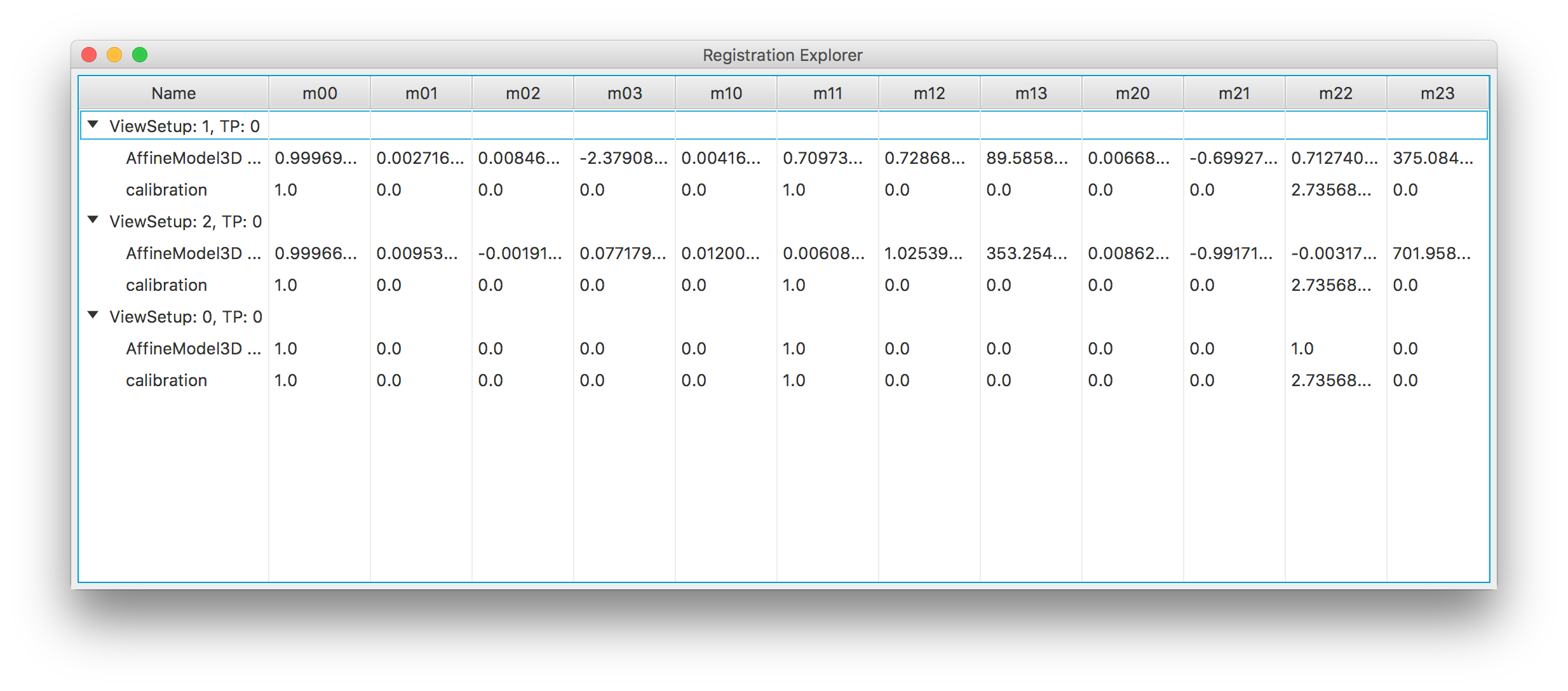 BigStitcher Registration Explorer window