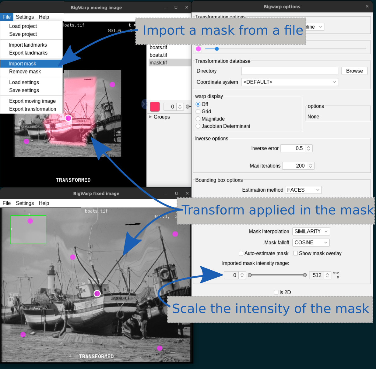 /media/plugins/bigwarp/bigwarp-mask-2.png