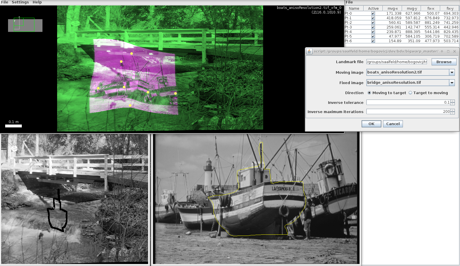 BigWarp forward ROI warp example