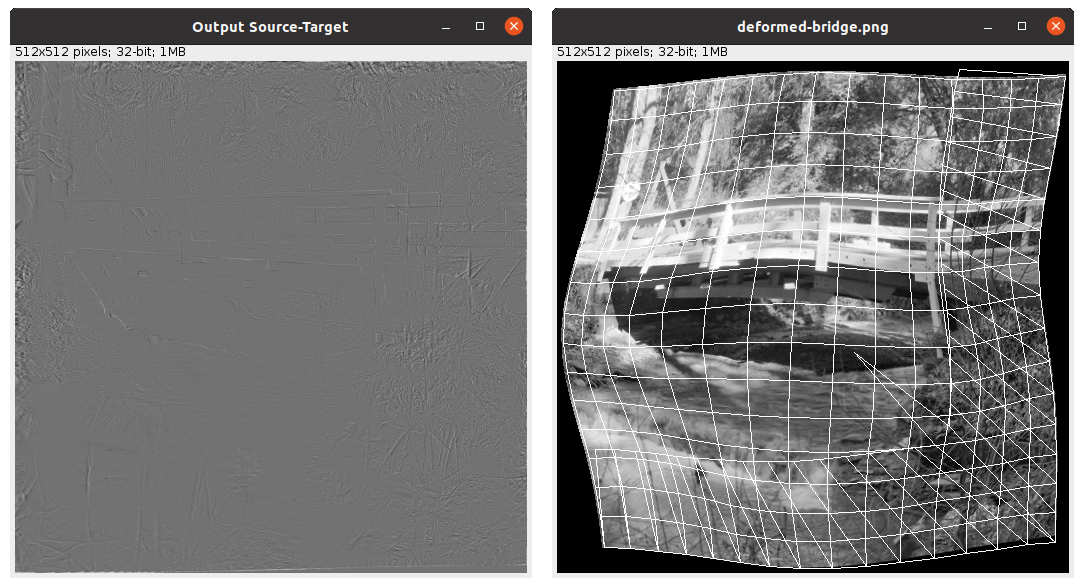 Example of bUnwarpJ output during the registration process: difference image and grid on top of moving image.