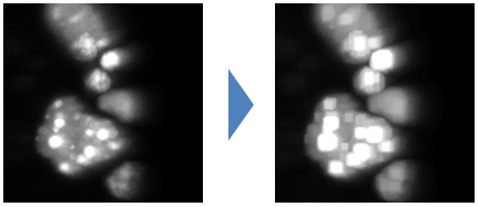 fig:CIP_dilate.PNG CIP_dilate.PNG
