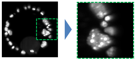 fig:CIP_duplicate.PNG CIP_duplicate.PNG