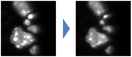fig:CIP_erode.PNG CIP_erode.PNG