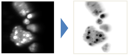 fig:CIP_invert.PNG CIP_invert.PNG