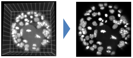 fig:CIP_project.PNG CIP_project.PNG
