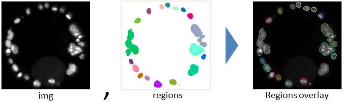 CIP_show_region.PNG