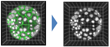 fig:CIP_slice.PNG CIP_slice.PNG